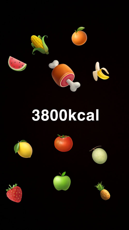 Ernährungsplan - 3800kcal